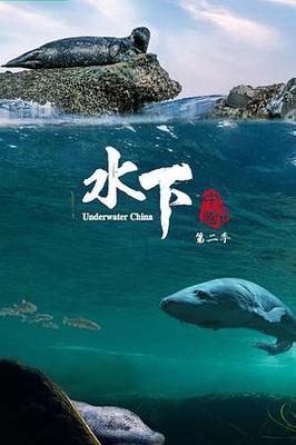 刀剑神域|25