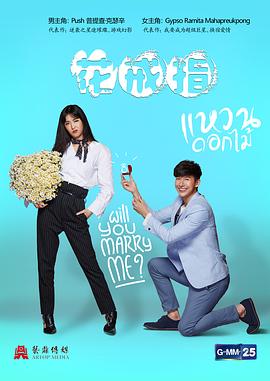 在线播放|视频二区