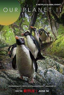 高压监狱满天星电影怎么看