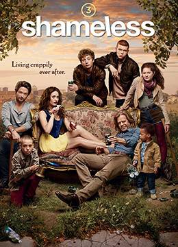 欧美电视剧剧情