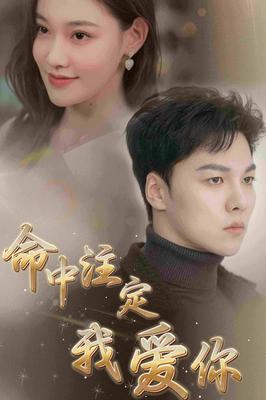 火花电视剧40集完整版免费