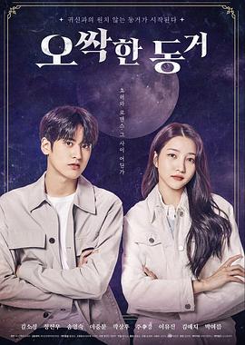 拉卡电影高清在线观看