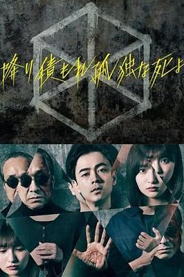 日韩在线观看琳琅影视