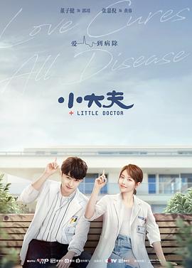 小楼又东风电视剧