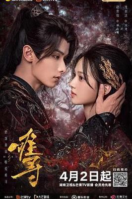 40集电视剧全部