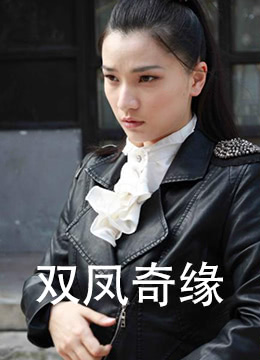 蝴蝶行动电视剧全集