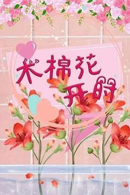 总裁的玩具
