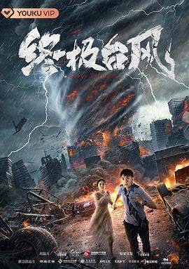 电视剧新上门女婿