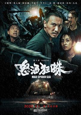 市集小冤家电视剧