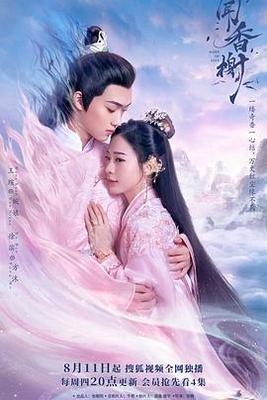 完美的结局