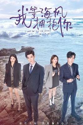 黑人无砖