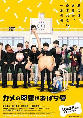 人文视频是什么意思