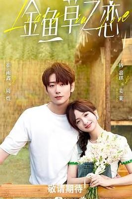 夜勤病栋在线看