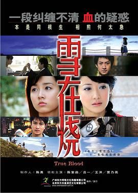 电视剧警戒线