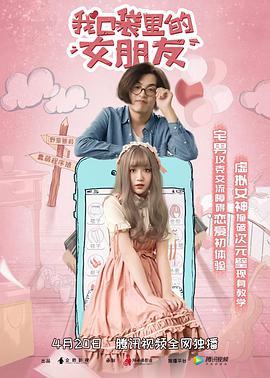 家庭主妇|综艺