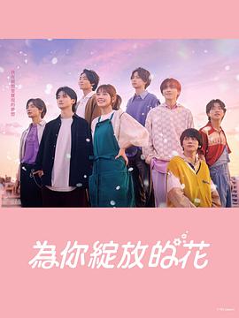 电视剧铁面歌女