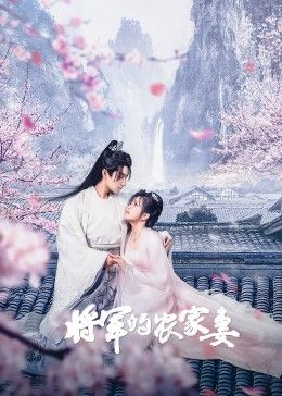 高清大炮是什么意思