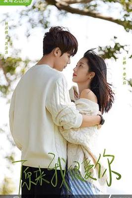 四大美人之王昭君