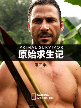 特级毛尖是什么茶
