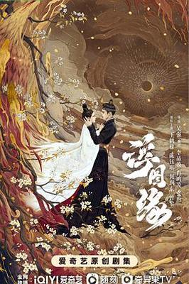 乘龙怪婿4